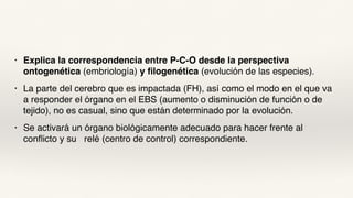 • Explica la correspondencia entre P-C-O desde la perspectiva
ontogenética (embriología) y filogenética (evolución de las especies).
• La parte del cerebro que es impactada (FH), así como el modo en el que va
a responder el órgano en el EBS (aumento o disminución de función o de
tejido), no es casual, sino que están determinado por la evolución.
• Se activará un órgano biológicamente adecuado para hacer frente al
conflicto y su relé (centro de control) correspondiente.
 