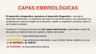 CAPAS EMBRIOLÓGICAS
• El desarrollo ontogenético reproduce el desarrollo filogenético - durante el
desarrollo embrionario, el organismo que está en crecimiento pasa a una velocidad muy
acelerada por todas las etapas de la evolución, desde un organismo unicelular hasta un
ser humano completo.
• Durante la 3ª semana se forman las tres capas embrionarias o germinales a partir de
las cuales se originan todos los órganos y tejidos del cuerpo:
ENDODERMO - hoja embrionaria interna
MESODERMO - hoja embrionaria intermedia, y que el doctor Hamer clasificó a su vez
en M. ANTIGUO y M. NUEVO.
ECTODERMO - la hoja embrionaria externa.
 