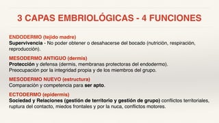3 CAPAS EMBRIOLÓGICAS - 4 FUNCIONES
ENDODERMO (tejido madre)
Supervivencia - No poder obtener o desahacerse del bocado (nutrición, respiración,
reproducción).
MESODERMO ANTIGUO (dermis)
Protección y defensa (dermis, membranas protectoras del endodermo).
Preocupación por la integridad propia y de los miembros del grupo.
MESODERMO NUEVO (estructura)
Comparación y competencia para ser apto.
ECTODERMO (epidermis)
Sociedad y Relaciones (gestión de territorio y gestión de grupo) conflictos territoriales,
ruptura del contacto, miedos frontales y por la nuca, conflictos motores.
 