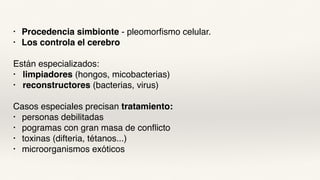 • Procedencia simbionte - pleomorfismo celular.
• Los controla el cerebro
Están especializados:
• limpiadores (hongos, micobacterias)
• reconstructores (bacterias, virus)
Casos especiales precisan tratamiento:
• personas debilitadas
• pogramas con gran masa de conflicto
• toxinas (difteria, tétanos...)
• microorganismos exóticos
 