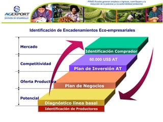 Identificación de Encadenamientos Eco-empresariales 60.000 US$ AT Identificación de Productores Identificación Comprador Plan de Inversión AT Plan de Negocios Diagnóstico línea basal Mercado Competitividad Oferta Productiva Potencial 