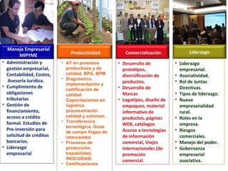 Manejo Empresarial MIPYME Administración y gestión empresarial, Contabilidad, Costos,  Asesoría Jurídica. Cumplimiento de obligaciones tributarias Gestión de financiamiento, acceso a crédito formal. Estudios de Pre-inversión para solicitud de créditos bancarios. Liderazgo empresarial Liderazgo AT en procesos productivos y de calidad, BPA, BPM Diagnóstico, implementación y certificación de calidad. Capacitaciones en logística, procesamiento calidad y volúmen. Transferencia tecnológica, Giras de campo Viajes de intercambio Procesos de producción, trazabilidad, INOCUIDAD. Certificaciones Comercialización Desarrollo de prototipos, diversificación de productos. Desarrollo de Marcas Logotipos, diseño de empaques, material informativo de productos, páginas WEB, catálogos Acceso a tecnologías de información comercial, Viajes internacionales (de promoción comercial. Liderazgo empresarial. Asociatividad. Rol de Juntas Directivas. Tipos de liderazgo. Nueva empresarialidad rural. Roles en la empresa. Riesgos comerciales. Manejo del poder. Gobernanza empresarial asociativa. Productividad Liderazgo 