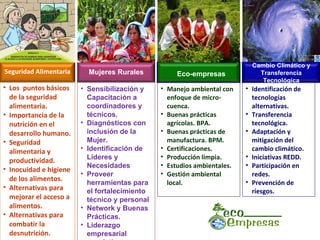 Seguridad Alimentaria Los  puntos básicos de la seguridad alimentaria. Importancia de la nutrición en el desarrollo humano. Seguridad alimentaria y productividad. Inocuidad e higiene de los alimentos. Alternativas para mejorar el acceso a alimentos. Alternativas para combatir la desnutrición. Mujeres Rurales Sensibilización y Capacitación a coordinadores y técnicos. Diagnósticos con inclusión de la Mujer. Identificación de Líderes y Necesidades Proveer herramientas para el fortalecimiento técnico y personal Network y Buenas Prácticas. Liderazgo empresarial asociativo. Manejo ambiental con enfoque de micro-cuenca. Buenas prácticas agrícolas. BPA. Buenas prácticas de manufactura. BPM. Certificaciones. Producción limpia. Estudios ambientales. Gestión ambiental local. Identificación de tecnologías alternativas. Transferencia tecnológica. Adaptación y mitigación del cambio climático. Iniciativas REDD. Participación en redes. Prevención de riesgos. Eco-empresas Cambio Climático y Transferencia Tecnológica 