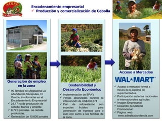90 familias de Magdalena La Abundancia Sacapulas, El Quiché  involucradas en el Encadenamiento Empresarial 21.17 ha de producción de  cebolla  blanca y amarilla 8,791 quintales  de cebolla producidas. Generación de 10,600 jornales  Implementación de BPA’s  Ventas alcanzadas durante la intervención de US$230,674 Plan de reforestación  con especies frutales  para generación de ingresos para o auto con sumo a las familias de la zona. Acceso a mercado formal a través de la cadena de supermercados.  Participación en ferias nacionales e internacionales agrícolas. Imagen Empresarial Desarollo de Material Promocional Página  web: www.adieslaabundancia.com Acceso a Mercados Generación de empleo en la zona Encadenamiento empresarial Producción y comercialización de Cebolla  Sostenibilidad y Desarrollo Económico 
