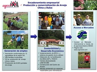 Encadenamiento empresarial Producción y comercialización de Arveja China y Dulce Asociación conformada por 12 agroaldeas de la región Ixil. 280  familias involuradas 35 ha. producción de  arveja china y dulce.  Producción de 6,020 quintales de arveja. Implementación de BPA’s  y sistema de gestión de la calidad. Obtención de  la Certificación GLOBALGAP y TESCO Ventas alcanzadasde US$194,966 Construcción del Centro de Acopio Manejo ambiental con especies maderables para reforestación Generación de empleo Sostenibilidad y Desarrollo Económico Acceso a Mercados Acceso al Mercado  internacional a través de la agroexportadora SIESA Página web:  www.agrosixil.com 