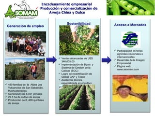 Ventas alcanzadas de  US$ 346,635.00 Implementación de Bpa’s  y Sistema de Gestión de la Calidad (SGC) Logro de recertificación de Global GAP y Tesco Asistencia técnica especializada en el cultivo Encadenamiento empresarial Producción y comercialización de Arveja China y Dulce Generación de empleo Sostenibilidad Acceso a Mercados 480 familias de  la  Aldea Los Volcancitos de San Sebastián, Huehuetenango. Generación de 8,451 jornales 22.5 ha de cultivo de arveja  Producción de 8, 400 quintales de arveja.  Participación en ferias agrícolas nacionales e internacionales Desarrollo de la Imagen Empresarial Página web: www.asomam.com 