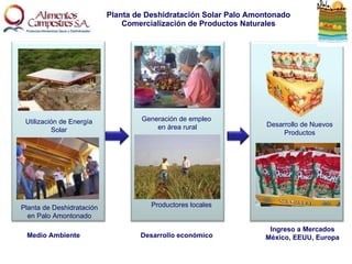Planta de Deshidratación Solar Palo Amontonado Comercialización de Productos Naturales Planta de Deshidratación en Palo Amontonado Utilización de Energía Solar Desarrollo de Nuevos Productos Ingreso a Mercados México, EEUU, Europa Productores locales Generación de empleo  en área rural Medio Ambiente Desarrollo económico 