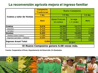 La reconversión agrícola mejora el ingreso familiar Fuente: Cooperativa 4 Pinos. Departamento de Desarrollo. En Quetzales. 