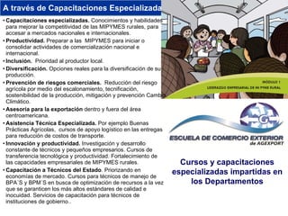 A través de Capacitaciones Especializadas  Capacitaciones especializadas.  Conocimientos y habilidades para mejorar la competitividad de las MIPYMES rurales, para accesar a mercados nacionales e internacionales. Productividad.  Preparar a las  MIPYMES para iniciar o consolidar actividades de comercialización nacional e internacional. Inclusión.  Prioridad al productor local. Diversificación.  Opciones reales para la diversificación de su producción. Prevención de riesgos comerciales.  Reducción del riesgo agrícola por medio del escalonamiento, tecnificación, sostenibilidad de la producción, mitigación y prevención Cambio Climático. Asesoría para la exportación  dentro y fuera del área centroamericana. Asistencia Técnica Especializada.  Por ejemplo Buenas Prácticas Agrícolas,  cursos de apoyo logístico en las entregas para reducción de costos de transporte. Innovación y productividad.  Investigación y desarrollo constante de técnicos y pequeños empresarios. Cursos de transferencia tecnológica y productividad. Fortalecimiento de las capacidades empresariales de MIPYMES rurales. Capacitación a Técnicos del Estado . Priorizando en economías de mercado. Cursos para técnicos de manejo de BPA´S y BPM´S en busca de optimización de recursos a la vez que se garanticen los más altos estándares de calidad e inocuidad. Servicios de capacitación para técnicos de instituciones de gobierno.. Cursos y capacitaciones especializadas impartidas en los Departamentos 