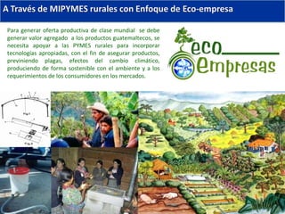 Para generar oferta productiva de clase mundial  se debe generar valor agregado  a los productos guatemaltecos, se necesita apoyar a las PYMES rurales para incorporar tecnologías apropiadas, con el fin de asegurar productos, previniendo plagas, efectos del cambio climático, produciendo de forma sostenible con el ambiente y a los requerimientos de los consumidores en los mercados. 