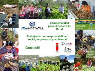 Competitividad para el Desarrollo Rural Trabajando con responsabilidad social, empresarial y ambiental Gracias!!! 