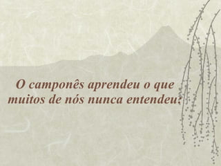 O camponês aprendeu o que muitos de nós nunca entendeu: 