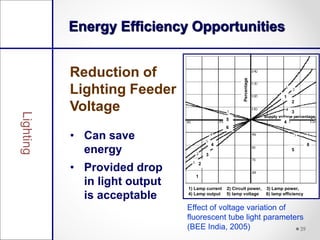 Lighting Efficiency Measures | PDF