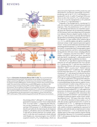 REVIEWS

                                                                                                      characterized by high levels of IFNγ production and
                                                     Virus                                            diminished IL‑4 production. Interestingly, most IFNγ-
                                                                                                      producing cells in the TH1/TH2 cell population co-
                                                                          APCs take up viruses        produced IL‑4 or IL‑13, and IL‑12 and type I IFNs were
                    Processed viral                                       or virus-infected           shown to drive this mixed TH1/TH2 cell phenotype14.
                    peptides                        APC                   cells and are               In vivo, IL‑12 can also reprogramme in vitro-polarized
                                                                          activated via PRRs
                                                                                                      TH17 cells to a TH1‑type phenotype15,16.
                            MHC class II
                                                                                                          Originally, it was thought that IL‑4‑producing TH2
                           Virus-derived                    CD80 or CD86                              cells were needed to drive optimal humoral immune
                           peptide       TCR                CD28                                      responses. Thus, the predominance of TH1 cells over
                                                                                                      TH2 cells during viral infection was somewhat surpris-
                                                                  APCs migrate to                     ing, given the important role of neutralizing antibodies
                                               Naive CD4+         draining lymph                      in viral clearance and in providing long-term immunity
                                                                  nodes and present
                                               T cell
                                                                  viral peptides to                   to re-infection. However, adoptive transfer of either TH1
                                                                  CD4+ T cells                        cells or TH2 cells was shown to provide efficient help for
                                                                                                      the generation of neutralizing antiviral IgG responses17,18.
                                                                                                      The signature TH1‑type cytokine, IFNγ, enhances IgG2a
                                                                                                      class switching, and this explains why IgG2a is usually the
                                   CD4+ T cell activation, polarization                               dominant isotype in IgG responses generated against
                                   and population expansion                                           viruses19. In fact, several studies have found that, far from
                                                                                                      promoting antiviral responses, TH2 cell-associated media-
Cytokines                                                                                             tors (and IL‑4 in particular) have a strong negative impact
                     Type I IFNs                  TGFβ                     IL-4           TGFβ
in priming
environment
                     IL-12                        IL-6                                                on immune protection and drive immuno­ athology  p
                                                                                                      during infection with many viruses, including influenza
                                                                                                      virus20,21, respiratory syncytial virus (RSV)22, herpes
                                                               TH2 cell                               simplex virus (HSV)23 and vaccinia virus24. Instead, it is
       TH1 cell
                                                                                                      now clear that IL‑4‑producing TFH cells provide much of
                                                                                                      the help required for IgG1 production (see below).
                                                           TH17 cell              TReg cell
                                                                                                          The roles of TH17‑type effector responses during viral
                                                                                                      infection are not well understood, but virus-specific
                        IFNγ                      IL-17A                   IL-4               IL-10   IL‑17‑producing CD4+ T cells have been detected in
Eﬀector
cytokines
                        TNF                       IL-17F                   IL-5                       mice following infection with mouse cytomegalovirus
                                                  IL-22                    IL-13
                                                                                                      (MCMV)25, HSV26, vaccinia virus27, Theiler’s murine
                                                                                                      encephalomyelitis virus28 or influenza virus16, although
                                                                                                      at levels lower than those of TH1 cells. The generation
                                        Eﬀector T cells migrate                                       of polarized TH17 cells during viral infection has been
                                        to infected tissue                                            correlated with high levels of IL‑6 and may also be
                                                                                                      influenced by transforming growth factor-β (TGFβ)28.
Figure 1 | Generation of antiviral effector CD4+ T cells. The crucial initial steps
in generating primary antiviral T cell responses are the uptake of viral antigens by
                                                                                                      TH17 cells are implicated in driving harmful inflamma-
                                                              Nature Reviews | Immunology
antigen-presenting cells (APCs) in infected tissue, the activation of APCs by pattern-                tion during autoimmunity, and IL‑17 may contribute
recognition receptor (PRR) ligation, and the migration of these cells to draining lymph               to immunopathology during responses against viruses,
nodes. The nature of the viral infection, as well as PRR ligation, can influence the                  as demonstrated in studies using influenza virus or
activation status of antigen-bearing APCs and the T helper (TH) cell-polarizing                       vaccinia virus27,29. However, in some cases, TH17 cells
environment. The recognition of antigens on activated APCs by naive T cells during viral              contribute to host protection against viruses16. One pro-
infection predominately results in the generation of TH1 cells owing to the presence of               tective mechanism mediated by TH17 cells might be the
type I interferons (IFNs) and interleukin‑12 (IL‑12). However, TH17, TH2 and regulatory T             promotion of enhanced neutrophil responses at sites
(TReg) cell populations are also generated to some degree in certain viral infections.                of infection. IL‑17 upregulates CXC-chemokines that
TCR, T cell receptor; TGFβ, transforming growth factor-β; TNF, tumour necrosis factor.
                                                                                                      promote neutrophil recruitment 30, and neutrophils can
                                                                                                      contribute to protection against certain viruses, includ-
                                                                                                      ing influenza virus31. We expect that other roles for
                               the priming milieu10, although TH1 cell responses are                  TH17 cells will be identified in future studies, as TH17
                               generated in response to certain viruses independently                 cells often produce significant levels of IL‑21 and IL‑22
                               of IL‑12 or type I IFNs11–13, suggesting that other fac-               in addition to IL‑17 (REF. 16). Although not extensively
                               tors can also contribute to TH1 cell polarization. IL‑12               studied in viral systems, IL‑22 production by TH17
                               and type I IFNs promote TH1 cell differentiation both                  cells could be involved in regulating the expression of
                               directly and indirectly (by repressing the development                 defensins, and could also play an important part in tissue
                               of other TH cell subsets), and can even influence effector             repair (reviewed in REF. 32). IL‑21 production may also
                               T cells that are already polarized. For example, polar-                regulate aspects of the innate immune response during
                               ized TH2 cells that were transferred to hosts infected                 viral infection. Moreover, IL‑21 is involved in sustaining
                               with lymphocytic choriomeningitis virus (LCMV)                         CD8+ T cell responses during chronic viral infection, as
                               acquired a mixed TH1/TH2 cell phenotype, which was                     discussed below.


138 | FEBRUARY 2012 | VOLUME 12	                                                                                              www.nature.com/reviews/immunol

                                                       © 2012 Macmillan Publishers Limited. All rights reserved
 