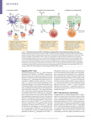 REVIEWS

a Activation of APCs                                             b Induction of an antiviral state                         c Killing of virus-infected cells

     Virus
                   CD80
                   or        CD28
                   CD86                                                                      Virus-infected
                                      CD4+                                                   cell
                                      eﬀector
        APC                           T cell                                                                                        TRAILR
                            TCR
                 MHC        Virus-                   IL-10                                                                    FAS
                 class II   derived
                            peptide
                                                                                                                             FASL
                                      IFNγ,
              Chemokines              TNF                                                                                               TRAIL          Perforin and
                                                                         IFNγ,
                                                                         TNF                       CD4+                                                granzyme B
                                                                                                                                      Cytotoxic
                                                                                                   eﬀector                            CD4+ T cell
                                              CD8+ T cell                                          T cell
  γδ T cell
                              NK cell
              Neutrophil
     • Cognate recognition of antigens                                 • Cognate recognition of antigens                   • Cognate recognition of antigens on
       on tissue-resident APCs                                           on infected cells (for example,                     infected cells expressing MHC class II
     • Release of eﬀector cytokines                                      lung epithelial cells in inﬂuenza)                • Release of cytotoxic eﬀector
     • Activation of tissue-resident APCs                              • Release of eﬀector cytokines                        molecules and/or ligation of
     • Release of pro-inﬂammatory                                      • Induction of an antiviral state in                  death-inducing surface ligands
       mediators that recruit innate and                                 surrounding cells                                 • Death of the virus-infected
       adaptive immune cells                                                                                                 surrounding cells

                               Figure 3 | Antiviral functions of CD4+ T cells that are independent of their lymphocyte helper functions.
                               a | After migrating to sites of infection, effector CD4+ T cells that recognize antigens on antigen-presenting cells (APCs)
                                                                                                                                 Nature Reviews | Immunology
                               produce an array of effector cytokines that contribute to the character of the inflammatory responses in the tissue. Some
                               products of highly activated effector CD4+ T cells, such as interleukin‑10 (IL‑10), dampen inflammation and regulate
                               immunopathology, whereas others, such as interferon‑γ (IFNγ), are pro-inflammatory and activate macrophages, which
                               in turn drive further inflammation. The production of IL‑10 by effector CD4+ T cells can have a profound impact on the
                               outcome of a viral infection. b | IFNγ, tumour necrosis factor (TNF) and other cytokines produced by CD4+ T cells help to
                               coordinate an antiviral state in infected tissues. c | Cytotoxic CD4+ T cells can directly lyse infected cells through diverse
                               mechanisms, including FAS-dependent and perforin-dependent killing. FASL, FAS ligand; NK, natural killer; TCR, T cell
                               receptor; TRAIL, TNF-related apoptosis-inducing ligand; TRAILR, TRAIL receptor.


                               Regulatory CD4+ T cells                                                 although how induced TReg cells affect viral infection is
                               Increased frequencies of CD4+ TReg cells (of both the                   not yet well understood. For example, some viral patho-
                               forkhead box P3 (FOXP3)+ and FOXP3– populations)                        gens may promote the development of TReg cell popula-
                               have been observed in numerous human and animal                         tions to limit the host antiviral response. Evidence for
                               studies of viral infection. Most studies that have assessed             this hypothesis has been found in several models, mainly
                               the impact of TReg cells during viral infection have con-               of chronic viral infection112,113. In acute viral infection,
                               centrated on models of chronic infection. In such set-                  which has not been studied as fully as chronic infection,
                               tings, TReg cells have been found, depending on the                     TReg cells have been shown to limit pathology during
                               particular pathogen, to have both beneficial roles, such                infection with WNV114 or RSV115,116 and in a model of
                               as limiting collateral tissue damage, and detrimental                   influenza A virus infection117. A detailed account of TReg
                               roles, including diminishing the overall magnitude of                   cell induction and responses during viral infection is
                               antiviral immune responses108. The antigen specificity                  available elsewhere118.
                               of TReg cells in the context of infectious disease has not
                               been addressed often, but it is likely that TReg cell popula-           CD4+ T cells and chronic viral infection
                               tions contain at least some virus-specific cells and that               Compared with our understanding of CD8+ T cells119,
                               these populations are generated in concert with antiviral               much less is known about how chronic infection affects
                               effector T cell responses. Indeed, this has recently been               CD4+ T cell phenotype and function. However, the
                               shown in a coronavirus infection model109. The accumu­                  impact of persistent viral infection on CD4+ T cell func-
                               lation of virus-specific FOXP3+ TReg cells during viral                 tion and the importance of CD4+ T cells during chronic
                               infection could be due to the expansion of pre-existing                 viral infection are receiving increasing attention. During
                               populations of thymus-derived ‘natural’ TReg cells that                 persistent infection with LCMV clone 13, responding
                               are specific for viral antigens, or could also reflect the              CD4+ T cells lose the ability to produce TH1‑type effec-
                               de novo generation of ‘induced’ TReg cells from naive                   tor cytokines and to function optimally following viral
                               virus-specific CD4+ T cells. An important factor in the                 rechallenge120. The loss of function of CD4 + T cells
                               generation of induced TReg cells appears to be TGFβ110,111,             responding to persistent antigen is probably driven by


142 | FEBRUARY 2012 | VOLUME 12	                                                                                               www.nature.com/reviews/immunol

                                                        © 2012 Macmillan Publishers Limited. All rights reserved
 