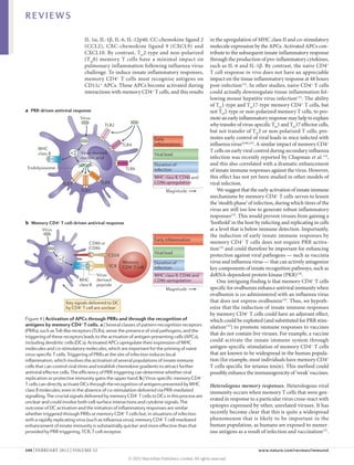 REVIEWS

                              IL‑1α, IL‑1β, IL‑6, IL‑12p40, CC-chemokine ligand 2                   in the upregulation of MHC class II and co-stimulatory
                              (CCL2), CXC-chemokine ligand  9 (CXCL9) and                           molecule expression by the APCs. Activated APCs con-
                              CXCL10. By contrast, TH2‑type and non-polarized                       tribute to the subsequent innate inflammatory response
                              (T H0) memory T  cells have a minimal impact on                       through the production of pro-inflammatory cytokines,
                              pulmonary inflammation following influenza virus                      such as IL‑6 and IL‑1β. By contrast, the naive CD4+
                              challenge. To induce innate inflammatory responses,                   T cell response in vivo does not have an appreciable
                              memory CD4 + T cells must recognize antigens on                       impact on the tissue inflammatory response at 48 hours
                              CD11c+ APCs. These APCs become activated during                       post-infection132. In other studies, naive CD4+ T cells
                              interactions with memory CD4+ T cells, and this results               could actually downregulate tissue inflammation fol-
                                                                                                    lowing mouse hepatitis virus infection133. The ability
                                                                                                    of TH1‑type and TH17‑type memory CD4+ T cells, but
a PRR-driven antiviral response                                                                     not TH2‑type or non-polarized memory T cells, to pro-
                            Virus                                                                   mote an early inflammatory response may help to explain
                                         TLR2                                                       why transfer of virus-specific TH1 and TH17 effector cells,
                                                                                                    but not transfer of TH2 or non-polarized T cells, pro-
                                                                   Early                            motes early control of viral loads in mice infected with
                                                   TLR4            inﬂammation                      influenza virus16,86,132. A similar impact of memory CD4+
      MHC                                                                                           T cells on early viral control during secondary influenza
      class II              Virus-derived                          Viral load
                            nucleic acid                                                            infection was recently reported by Chapman et al.134,
                                                                   Duration of                      and this also correlated with a dramatic enhancement
 Endolysosome                                       TLR6           infection                        of innate immune responses against the virus. However,
                                                                   MHC class II, CD40 and           this effect has not yet been studied in other models of
                   TLR3                TLR9                        CD86 upregulation                viral infection.
                            TLR7                                          Magnitude                     We suggest that the early activation of innate immune
                                                                                                    mechanisms by memory CD4+ T cells serves to lessen
                                                                                                    the ‘stealth phase’ of infection, during which titres of the
                                                                                                    virus are still too low to generate robust inflammatory
                                                                                                    responses135. This would prevent viruses from gaining a
b Memory CD4+ T cell-driven antiviral response                                                      ‘foothold’ in the host by infecting and replicating in cells
        Virus                                                                                       at a level that is below immune detection. Importantly,
                                                                                                    the induction of early innate immune responses by
                                                                   Early inﬂammation
                                 CD80 or                                                            memory CD4+ T cells does not require PRR activa-
                                 CD86                                                               tion132 and could therefore be important for enhancing
                                                                   Viral load
                                            CD28                                                    protection against viral pathogens — such as vaccinia
                                                   Memory          Duration of                      virus and influenza virus — that can actively antagonize
                                            TCR    CD4+ T cell     infection                        key components of innate recognition pathways, such as
                                      Virus-                       MHC class II, CD40 and           dsRNA-dependent protein kinase (PKR)136.
                           MHC        derived                      CD86 upregulation                    One intriguing finding is that memory CD4+ T cells
                           class II   peptide
                                                                          Magnitude                 specific for ovalbumin enhance antiviral immunity when
                                                                                                    ovalbumin is co-administered with an influenza virus
                     Key signals delivered to DC                                                    that does not express ovalbumin132. Thus, we hypoth-
                     by CD4+ T cell are unclear                                                     esize that the induction of innate immune responses
                                                                                                    by memory CD4+ T cells could have an adjuvant effect,
Figure 4 | Activation of APCs through PRRs and through the recognition of                           which could be exploited (and substituted for PRR stim-
                                                                 Nature Reviews | Immunology
antigens by memory CD4+ T cells. a | Several classes of pattern-recognition receptors               ulation132) to promote immune responses to vaccines
(PRRs), such as Toll-like receptors (TLRs), sense the presence of viral pathogens, and the
                                                                                                    that do not contain live viruses. For example, a vaccine
triggering of these receptors leads to the activation of antigen-presenting cells (APCs),
including dendritic cells (DCs). Activated APCs upregulate their expression of MHC                  could activate the innate immune system through
molecules and co-stimulatory molecules, which are important for the priming of naive                antigen-specific stimulation of memory CD4+ T cells
virus-specific T cells. Triggering of PRRs at the site of infection induces local                   that are known to be widespread in the human popula-
inflammation, which involves the activation of several populations of innate immune                 tion (for example, most individuals have memory CD4+
cells that can control viral titres and establish chemokine gradients to attract further            T cells specific for tetanus toxin). This method could
antiviral effector cells. The efficiency of PRR triggering can determine whether viral              possibly enhance the immunogenicity of ‘weak’ vaccines.
replication or protective immunity gains the upper hand. b | Virus-specific memory CD4+
T cells can directly activate DCs through the recognition of antigens presented by MHC              Heterologous memory responses. Heterologous viral
class II molecules, even in the absence of co-stimulation delivered via PRR-mediated                immunity occurs when memory T cells that were gen-
signalling. The crucial signals delivered by memory CD4+ T cells to DCs in this process are
                                                                                                    erated in response to a particular virus cross-react with
unclear and could involve both cell-surface interactions and cytokine signals. The
outcome of DC activation and the initiation of inflammatory responses are similar                   epitopes expressed by other, unrelated viruses. It has
whether triggered through PRRs or memory CD4+ T cells but, in situations of infection               recently become clear that this is quite a widespread
with a rapidly replicating virus (such as influenza virus), memory CD4+ T cell-mediated             phenomenon that is likely to be important in the
enhancement of innate immunity is substantially quicker and more effective than that                human population, as humans are exposed to numer-
provided by PRR triggering. TCR, T cell receptor.                                                   ous antigens as a result of infection and vaccination137.


144 | FEBRUARY 2012 | VOLUME 12	                                                                                            www.nature.com/reviews/immunol

                                                     © 2012 Macmillan Publishers Limited. All rights reserved
 