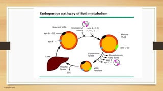 5- Lipoprotein metabolism and disorders Prof. Dr. Gül Nihal Özdemir.pdf