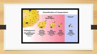 5- Lipoprotein metabolism and disorders Prof. Dr. Gül Nihal Özdemir.pdf
