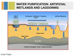 Grupo Tragsa
WATER PURIFICATION: ARTIFICIAL
WETLANDS AND LAGOONING
Aquifer
Unpermeable bed (Aquiclude)
Water table
Vadose Zone
Purification / Infiltration / Transport
Canal
Artificial WetlandsWWTP
Lagoon
 