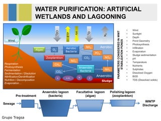 Grupo Tragsa
WATER PURIFICATION: ARTIFICIAL
WETLANDS AND LAGOONING
PARAMETERSCONSIDEREDINWWT
STABILIZATIONPONDS
• Wind
• Sunlight
• Depth
• Pond Geometry
• Photosynthesis
• Infiltration
• Evaporation
• Sludge sedimentation
• pH
• Temperature
• Nutrients
• Sulphides
• Dissolved Oxygen
• BOD
• TDS (Dissolved solids)
Pre-treatment
Anaerobic lagoon
(bacteria)
Facultative lagoon
(algae)
Polishing lagoon
(zooplankton)
WWTP
DischargeSewage
O2
HO2
Aerobic
Anaerobic
Sludge
CO2
PO4
NH3
Algae
Aerobic
Bacteria
Anaerobic
Bacteria
Wind
HV
O2
ETP
N PK H.M.
NO3
Zooplankton
CO2
CH4
NH3
CO2
O2
N2
Respiration
Photosynthesis
Fermentation
Sedimentation / Disolution
Nitrification/Denitrification
Nutrition / Decomposition
Evaporation…
NO2
 