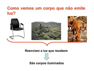 Como vemos um corpo que não emite
luz?




       Reenviam a luz que recebem


         São corpos iluminados
 