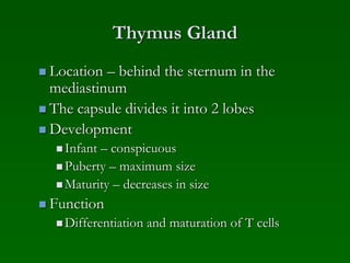 lymphatic system Histology | PPT