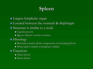 lymphatic system Histology | PPT