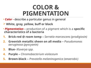 Colonial Examination of Bacterial Isolates | PPTX