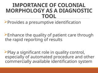Colonial Examination of Bacterial Isolates | PPTX