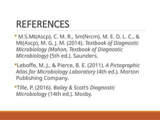 Colonial Examination of Bacterial Isolates | PPTX