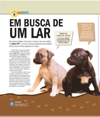 ADOTEPET
EM BUSCA DE
UM LARNo próximo sábado, 4 de junho, é dia de mais uma edição
do Adote PET! E, entre os animais disponíveis para adoção,
temos essa turminha ad á l d i ã !
Você já sabe, mas não cu
tir: todo primeiro sábado do
dia de Adote PET – parceria
rãoShopping com A Cidade
tiva da ONG Instituto Ilumin
Assim, no próximo sábad
junho), você tem mais uma
dade de levar um coleguinh
tas para casa – entre as opçõ
Penélope, Thor, Snoopy, Sco
ninha (fotos ao lado), cinco
sem raça definida, com 45 d
da até o momento e que, ad
carão de porte médio.
Ficou interessado? Lemb
a adoção é responsável – tem
acompanhamento da ONG
liar se a adaptação do bichin
família foi tranquila e sem g
problemas. Quem adotar um
também receberá um kit con
ração, a primeira dose de ve
carrapaticida e um guia de i
de cuidados com o animal.
Cãozinho
cheio de marra
Prepare-se
para fazer
exercícios
“Oi, eu sou o Scooby!
Sou um pouco marrento,
mas adoro brincar e sou
cheio de energia!”
“Olá! Meu nome é
Seninha! E não é à toa:
assim como o piloto
Ayrton Senna, eu adoro
correr! Me leva pra casa?”
/ACidadeON
Curta nossa página oficial no Facebook
e divulgue o Adote PET! Vamos
encontrar um lar para esses bichinhos!
adorável de irmãos!
usta repe-
o mês é
a do Ribei-
e e inicia-
nar.
do (4 de
oportuni-
ha de 4 pa-
ões, estão
ooby e Se-
irmãos
dias de vi-
ultos, fi-
bre-se que
m um
para ava-
nho e da
grandes
m animal
ntendo
ermífugo,
instruções
 