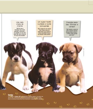 Uma lady
cheia de
charme
Um super-herói
curioso e muito
brincalhão
Energia para
dar, brincar e
vender!
“Oiê! Eu sou a
Penélope! Sou muito
delicada e charmosa –
na verdade, eu sou uma
lady! Não vejo a hora de
ter uma nova família!”
“Alô a todos! Eu me chamo
Thor! Tenho nome de
super-herói, sou curioso e
muito brincalhão! Vamos
nos divertir muito juntos!”
“Olá! Ganhei o nome de
outro cachorro famoso:
Snoopy! Adoro brincar –
e tenho muita energia
para isso!”
Serviço
A 4ª edição do Adote PET será realizada no próximo sábado, 4 de junho, das
10h às 15h, no RibeirãoShopping (estacionamento da Renner). Quem quiser
levar um animal pra casa precisa levar documento e comprovante de residência.
FOTOSMILENAAUREA/ACIDADE
 