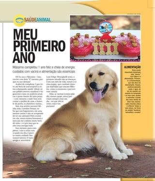 MEU
PRIMEIRO
ANO
SAÚDEANIMAL
FOTOS RENATO LOPES / ESPECIAL
7 |
ADOTE
ANO
Oi! Eu sou o Mássimo – isso,
escrito com dois “S” mesmo, por-
que eu sou demais!
Acabei de completar 1 ano (ti-
ve até festa de aniversário!) e es-
tou esbanjando saúde! Afinal, só
um golden retriver saudável e ba-
gunceiro como eu poderia arran-
car o poste inteiro de uma praça
– com cimento e tudo! Isso sem
contar o jardim de casa, o baten-
te da porta, os chinelos e meias...
Sim, sou arteiro mesmo! Mi-
nha mãe, Caroline Petian, sa-
be que sou bagunceiro, me ama
mesmo assim e não se arrepende
de ter me adotado! Pelo contrá-
rio: ela, meus irmãos humanos e
meu pai me cuidam muito bem
de mim – e é por isso que te-
nho essa energia toda.
Isso mesmo: para com-
pletar 1 ano e estar com
a saúde em dia, é preci-
so muito cuidado dos
nossos tutores. O meu
amigo e veterinário
Luiz Felipe Meneghelli avisa: o
primeiro desafio são as doenças.
Com um mês de vida, tomei a va-
cina puppy, que combate doen-
ças malvadas que atacam filho-
tes, como a cinomose e parvovi-
rose canina.
Aliás, as vacinas (contra giár-
dia, viroses, gripe, raiva) pre-
cisam sempre estar em
dia – sei que dói às
vezes, mas é im-
portante!
Mássimo completou 1 ano feliz e cheio de energia;
cuidados com vacina e alimentação são essenciais
ALIMENTAÇÃO
Outro ponto
importante destacado
pelo “doutor”
Luiz Felipe é a
alimentação. Primeiro,
é a amamentação,
que não deve ser
interrompida. Depois,
preferencialmente
ração e água, de
vez em quando um
ossinho de brinquedo
– no meu caso, ajudou
a estimular a queda
dos meus dentes de
leite! Isso mesmo:
estou dizendo adeus
à infância! Daqui a
seis meses, me torno
um adulto! Saudável,
brincalhão e amado!
 