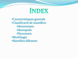 •Característiques generals
•Classificació de mamífers:
-Monotremes
-Marsupials
-Placentaris
•Morfologia
•Mamífers diferents

 