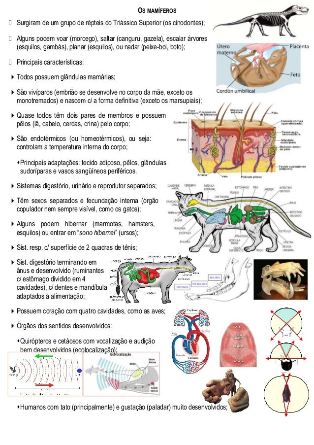 Bioquimica superior