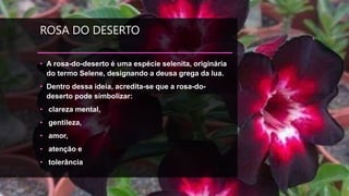 ROSA DO DESERTO
• A rosa-do-deserto é uma espécie selenita, originária
do termo Selene, designando a deusa grega da lua.
• Dentro dessa ideia, acredita-se que a rosa-do-
deserto pode simbolizar:
• clareza mental,
• gentileza,
• amor,
• atenção e
• tolerância
 