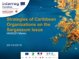 Strategies of Caribbean
Organizations on the
Sargassum Issue
HEADLEY Maren
25/10/2019
 