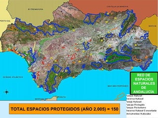 RED DE  ESPACIOS NATURALES DE  ANDALUCÍA   TOTAL ESPACIOS PROTEGIDOS (AÑO 2.005) = 150 