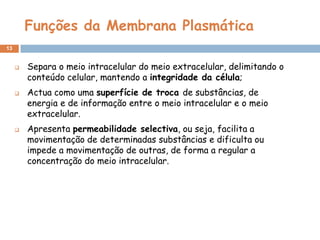 Funções da Membrana Plasmática
13







Separa o meio intracelular do meio extracelular, delimitando o
conteúdo celular, mantendo a integridade da célula;
Actua como uma superfície de troca de substâncias, de
energia e de informação entre o meio intracelular e o meio
extracelular.

Apresenta permeabilidade selectiva, ou seja, facilita a
movimentação de determinadas substâncias e dificulta ou
impede a movimentação de outras, de forma a regular a
concentração do meio intracelular.

 