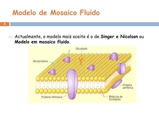 Modelo de Mosaico Fluido
8



Actualmente, o modelo mais aceite é o de Singer e Nicolson ou
Modelo em mosaico fluido.

 