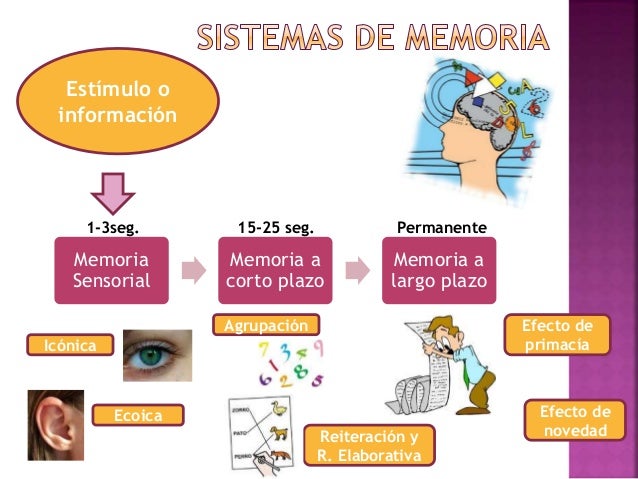Imagen relacionada
