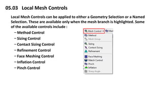 5 mesh control (2) | PDF