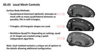 5 mesh control (2) | PDF