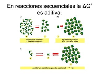 En reacciones secuenciales la ΔG°
           es aditiva.
 