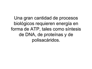Una gran cantidad de procesos
  biológicos requieren energía en
forma de ATP, tales como síntesis
     de DNA, de proteínas y de
           polisacáridos.
 