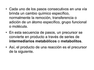 • Cada uno de los pasos consecutivos en una vía
  brinda un cambio químico específico,
  normalmente la remoción, transferencia o
  adición de un átomo específico, grupo funcional
  o molécula.
• En esta secuencia de pasos, un precursor se
  convierte en producto a través de series de
  intermediarios metabólicos o metabolitos.
• Así, el producto de una reacción es el precursor
  de la siguiente.
 