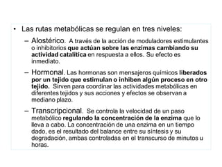 • Las rutas metabólicas se regulan en tres niveles:
   – Alostérico. A través de la acción de moduladores estimulantes
     o inhibitorios que actúan sobre las enzimas cambiando su
     actividad catalítica en respuesta a ellos. Su efecto es
     inmediato.
   – Hormonal. Las hormonas son mensajeros químicos liberados
     por un tejido que estimulan o inhiben algún proceso en otro
     tejido. Sirven para coordinar las actividades metabólicas en
     diferentes tejidos y sus acciones y efectos se observan a
     mediano plazo.
   – Transcripcional. Se controla la velocidad de un paso
     metabólico regulando la concentración de la enzima que lo
     lleva a cabo. La concentración de una enzima en un tiempo
     dado, es el resultado del balance entre su síntesis y su
     degradación, ambas controladas en el transcurso de minutos u
     horas.
 