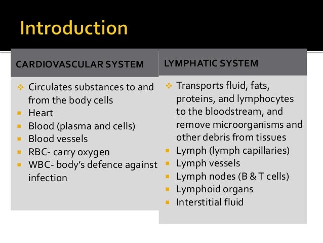 microbial diseases of the cardiovascular and lymphatic systems
