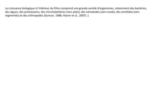 La croissance biologique à l'intérieur du filtre comprend une grande variété d'organismes, notamment des bactéries,
des algues, des protozoaires, des microtubellaires (vers plats), des nématodes (vers ronds), des annélides (vers
segmentés) et des arthropodes (Duncan, 1988; Hijnen et al., 2007). ).
 
