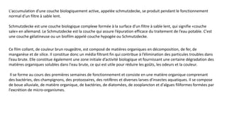 L'accumulation d'une couche biologiquement active, appelée schmutzdecke, se produit pendant le fonctionnement
normal d'un filtre à sable lent.
Schmutzdecke est une couche biologique complexe formée à la surface d'un filtre à sable lent, qui signifie «couche
sale» en allemand. Le Schmutzdecke est la couche qui assure l’épuration efficace du traitement de l’eau potable. C'est
une couche gélatineuse ou un biofilm appelé couche hypogée ou Schmutzdecke.
Ce film collant, de couleur brun rougeâtre, est composé de matières organiques en décomposition, de fer, de
manganèse et de silice. Il constitue donc un média filtrant fin qui contribue à l’élimination des particules troubles dans
l’eau brute. Elle constitue également une zone initiale d’activité biologique et fournissant une certaine dégradation des
matières organiques solubles dans l'eau brute, ce qui est utile pour réduire les goûts, les odeurs et la couleur.
Il se forme au cours des premières semaines de fonctionnement et consiste en une matière organique comprenant
des bactéries, des champignons, des protozoaires, des rotifères et diverses larves d'insectes aquatiques. Il se compose
de boue alluviale, de matière organique, de bactéries, de diatomées, de zooplancton et d'algues filiformes formées par
l'excrétion de micro-organismes.
 